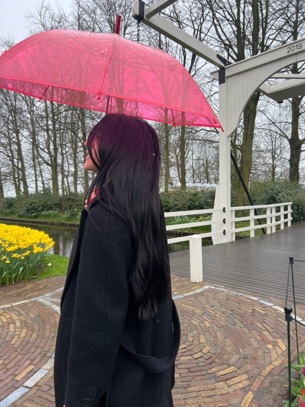 My Secret to Healthy&nbsp;Hair